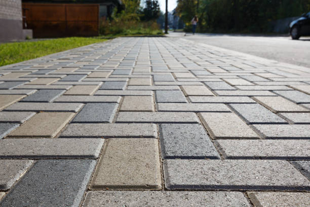 Best Driveway Drainage Solutions in Brighton, IL